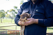 Load image into Gallery viewer, Navy 100% Wool Shirt